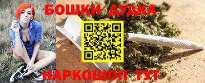ешки Новодвинск