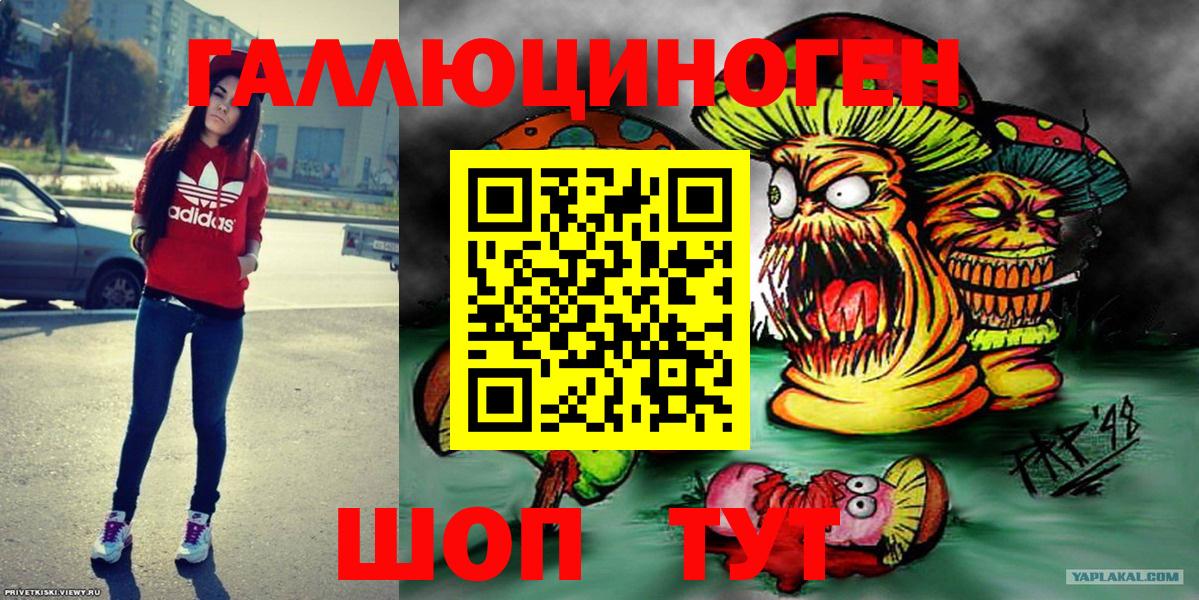 закладка  Электросталь  Псилоцибиновые грибы ЛСД 