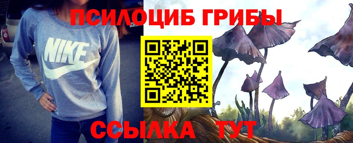 наркотики  Галлюциногенные грибы ЛСД  Вход с VPN  Электросталь  Галлюциногенные грибы Psilocybine cubensis 