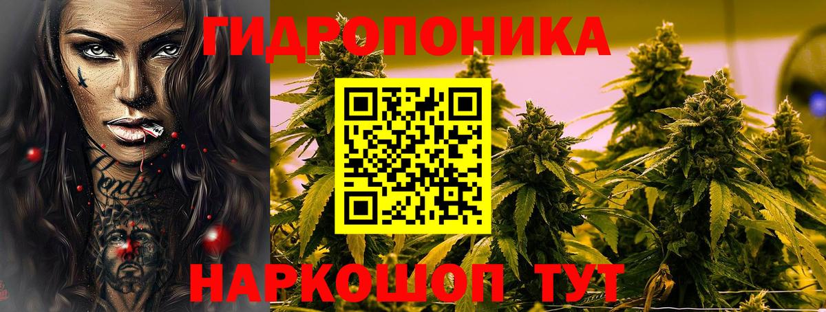 Бошки марихуана LSD WEED  МАРИХУАНА LSD WEED  Электросталь 